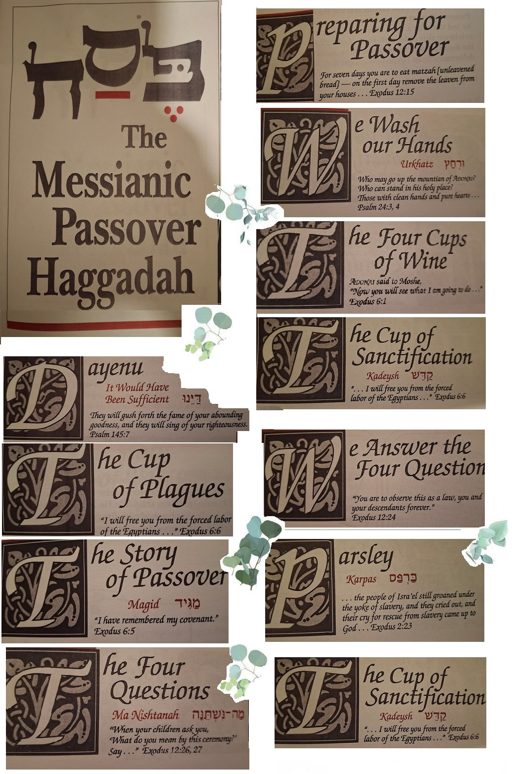 2026 Seder Service